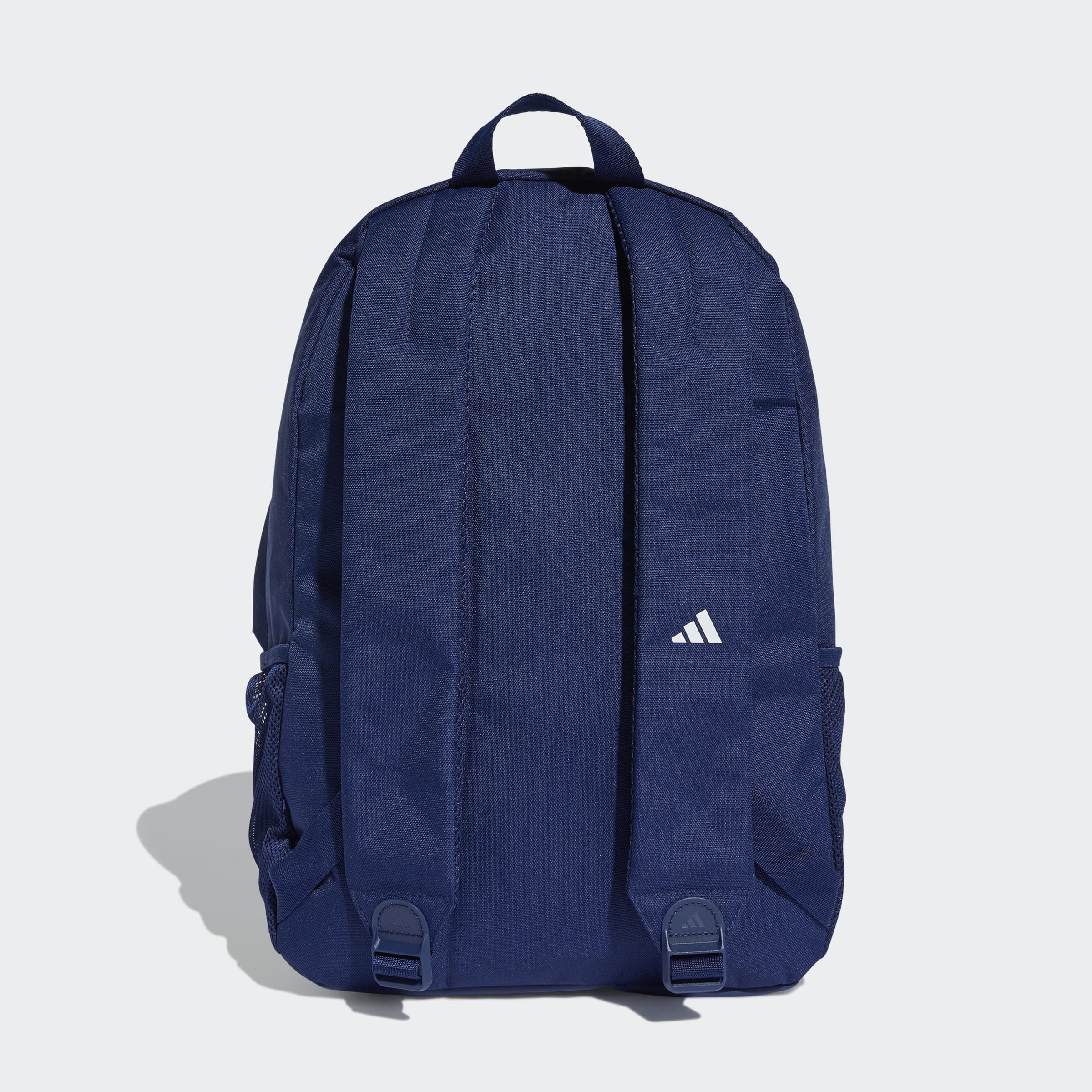 CLSC PCASE BP